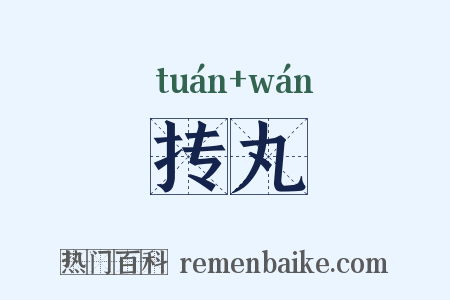 抟丸是什么意思的图片